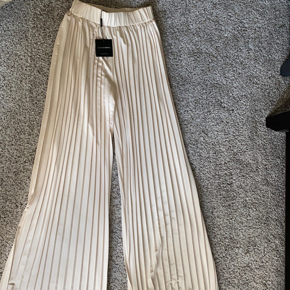 JLUXLABEL Cream Half Dollar Pleated Wide Leg Pants